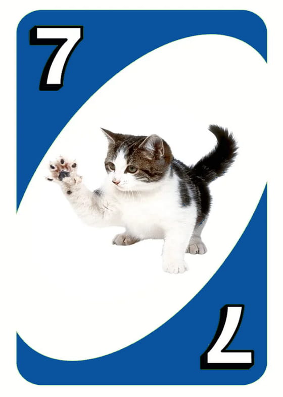 UNO Card - Blue Cat